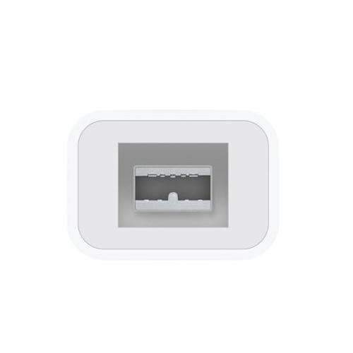 Apple Thunderbolt to FireWire Adapter - White Sim Free cheap